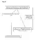 Fig. 06 - Builder granules and process for their preparation