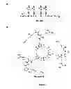 Fig. 03 - Use of multivalent synthetic ligands of surface nucleolin for treating cancer or inflammation