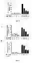 Fig. 08 - Use of multivalent synthetic ligands of surface nucleolin for treating cancer or inflammation