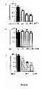 Fig. 09 - Use of multivalent synthetic ligands of surface nucleolin for treating cancer or inflammation