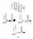 Fig. 11 - Use of multivalent synthetic ligands of surface nucleolin for treating cancer or inflammation