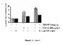 Fig. 12 - Use of multivalent synthetic ligands of surface nucleolin for treating cancer or inflammation