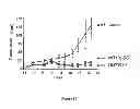 Fig. 14 - Use of multivalent synthetic ligands of surface nucleolin for treating cancer or inflammation