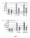 Fig. 22 - Use of multivalent synthetic ligands of surface nucleolin for treating cancer or inflammation