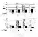 Fig. 23 - Use of multivalent synthetic ligands of surface nucleolin for treating cancer or inflammation