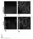 Fig. 35 - METHODS OF USING CHIMERIC COILED-COIL MOLECULE