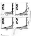 Fig. 03 - Method for generating immunomodulatory cells, the cells prepared therefrom, and use thereof
