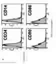 Fig. 05 - Method for generating immunomodulatory cells, the cells prepared therefrom, and use thereof
