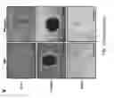 Fig. 06 - Method for generating immunomodulatory cells, the cells prepared therefrom, and use thereof