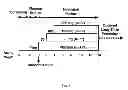 Fig. 02 - Therapy for complications of diabetes