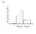 Fig. 03 - COLLAGEN HYDROXYLASES