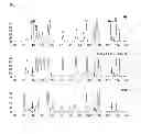 Fig. 12 - COLLAGEN HYDROXYLASES