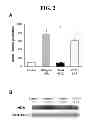 Fig. 03 - Methods of preventing or treating brain diseases