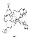 Fig. 08 - Potent and selective inhibitors of Na1.3 and Na1.7