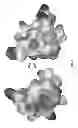 Fig. 12 - Potent and selective inhibitors of Na1.3 and Na1.7