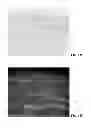 Fig. 19 - Potent and selective inhibitors of Na1.3 and Na1.7