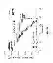 Fig. 40 - Potent and selective inhibitors of Na1.3 and Na1.7