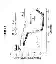 Fig. 50 - Potent and selective inhibitors of Na1.3 and Na1.7