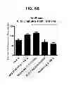Fig. 78 - Potent and selective inhibitors of Na1.3 and Na1.7