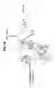 Fig. 99 - Potent and selective inhibitors of Na1.3 and Na1.7