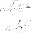 Fig. 26 - SMAC mimetic for treating myelodysplastic syndromes