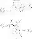Fig. 27 - SMAC mimetic for treating myelodysplastic syndromes