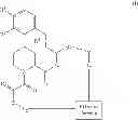 Fig. 08 - Hybrid cyclic libraries and screens thereof