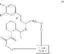 Fig. 41 - Hybrid cyclic libraries and screens thereof