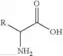 Fig. 04 - Stable compositions of peptide epoxy ketones