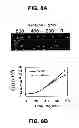 Fig. 07 - Compositions for the treatment of cancer, and methods for testing and using the same