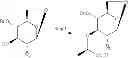 Fig. 101 - Amphetamine Prodrugs