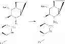 Fig. 103 - Amphetamine Prodrugs