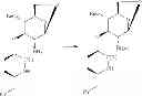 Fig. 104 - Amphetamine Prodrugs