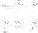 Fig. 31 - Amphetamine Prodrugs