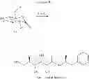 Fig. 35 - Amphetamine Prodrugs