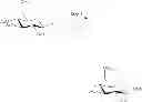 Fig. 44 - Amphetamine Prodrugs
