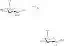 Fig. 46 - Amphetamine Prodrugs