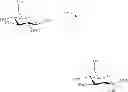 Fig. 47 - Amphetamine Prodrugs