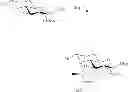 Fig. 56 - Amphetamine Prodrugs