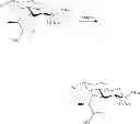 Fig. 57 - Amphetamine Prodrugs