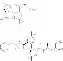 Fig. 70 - Amphetamine Prodrugs