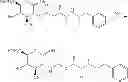 Fig. 78 - Amphetamine Prodrugs