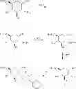 Fig. 80 - Amphetamine Prodrugs