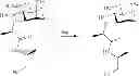 Fig. 84 - Amphetamine Prodrugs