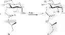 Fig. 93 - Amphetamine Prodrugs