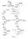 Fig. 03 - GLYCOMIMETIC COMPOUNDS AND METHODS TO INHIBIT INFECTION BY HIV