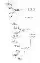 Fig. 04 - GLYCOMIMETIC COMPOUNDS AND METHODS TO INHIBIT INFECTION BY HIV