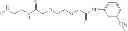 Fig. 20 - GLYCOMIMETIC COMPOUNDS AND METHODS TO INHIBIT INFECTION BY HIV