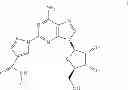 Fig. 23 - N-pyrazole Areceptor agonists