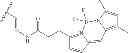 Fig. 16 - Ladder-Frame Polyether Conjugates